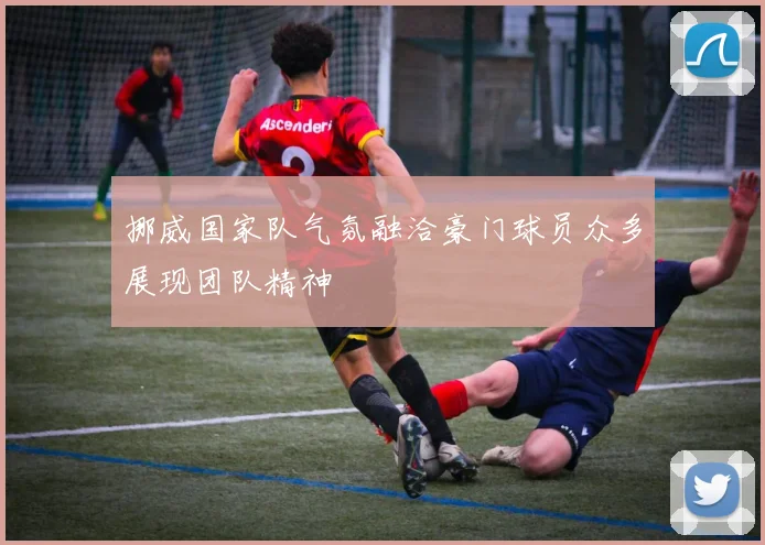 挪威国家队气氛融洽豪门球员众多展现团队精神