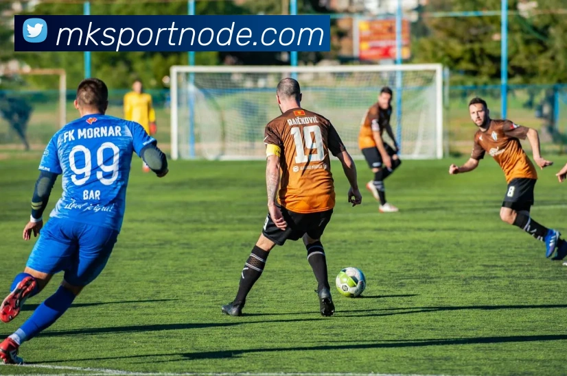 MK体育平台生态图