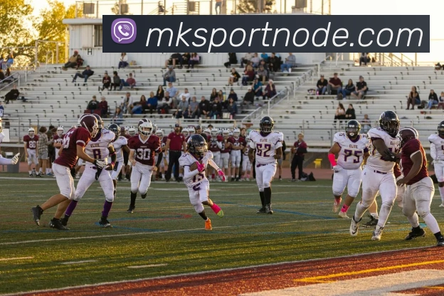 MK体育APP 封面图