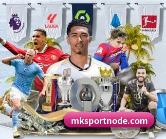 MK体育 APP - MKsports